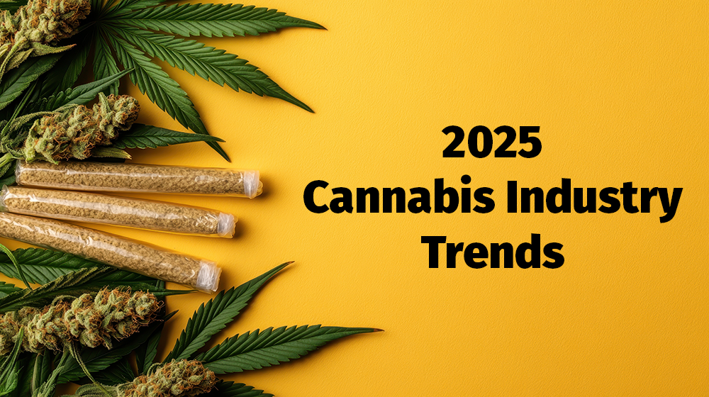 Top Cannabis Industry Trends in 2025: What to Expect